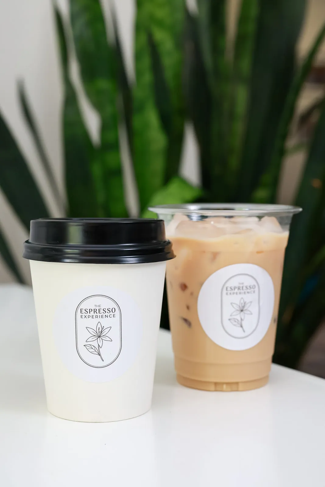 A hot latte and an iced latte in matching branded cups